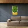 Mur végétalisé (modèle découverte) – Image 2